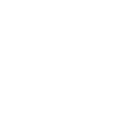 Social and Community Impact
